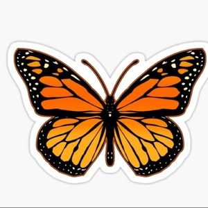 Meet your Posher, Aliyah